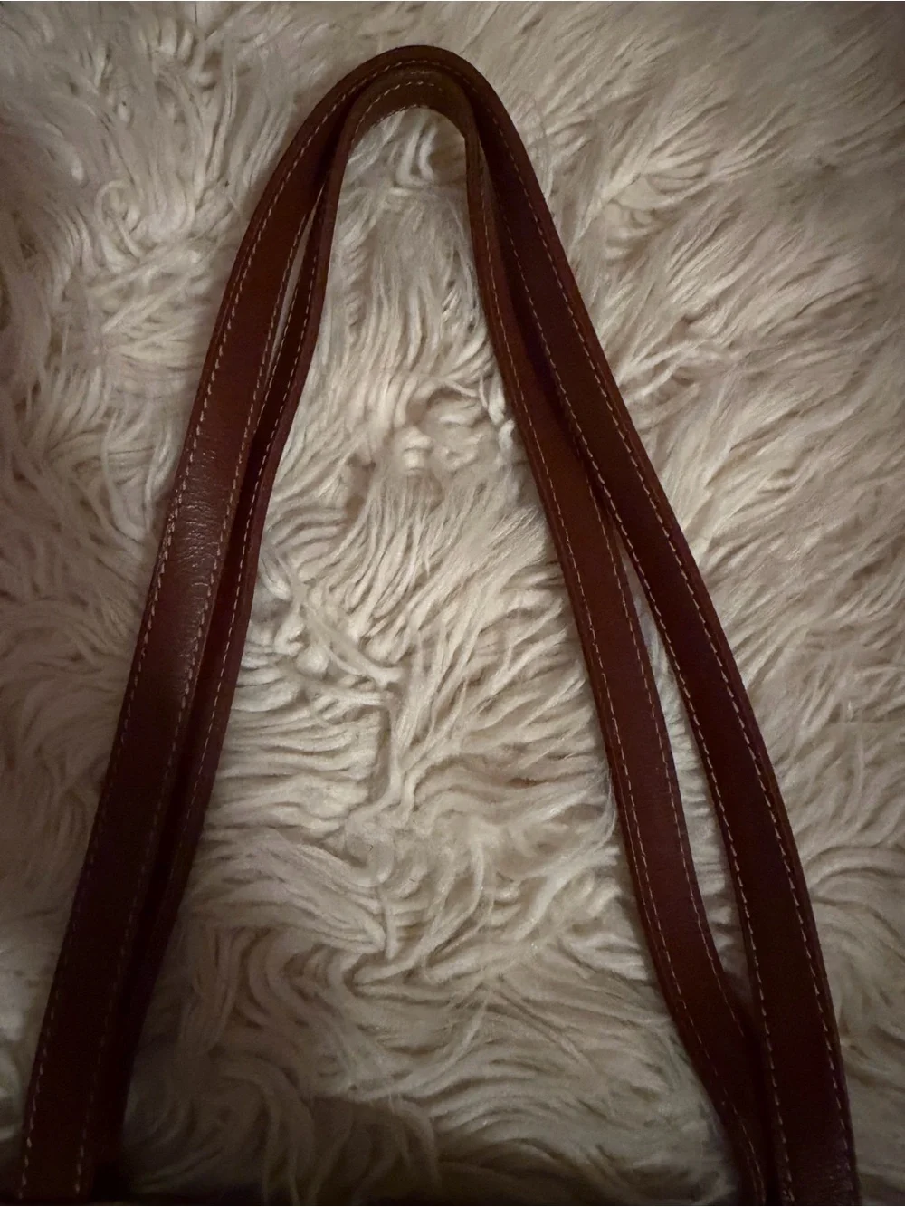 Burberry Canvas Tote Bag in Beige and Brown